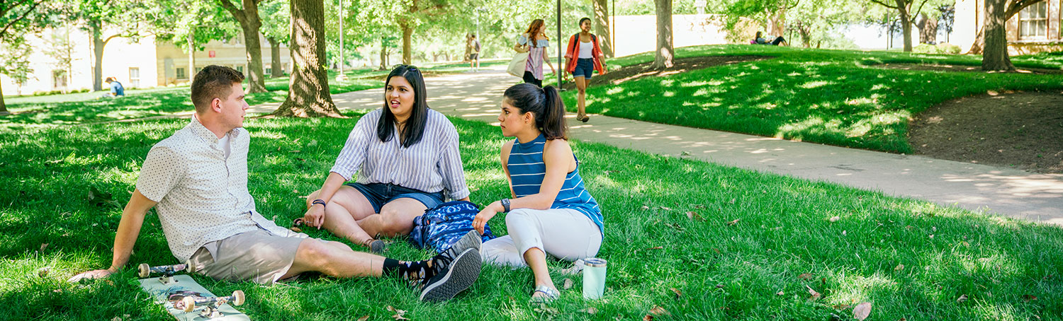 students hang out together on picnic grass area 
