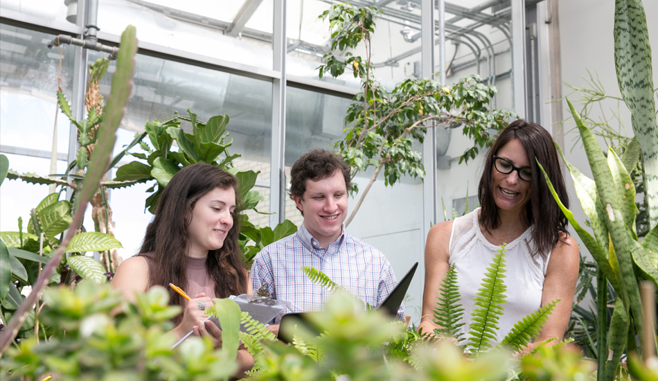 Professor showing two students plants in the greenhouse. 