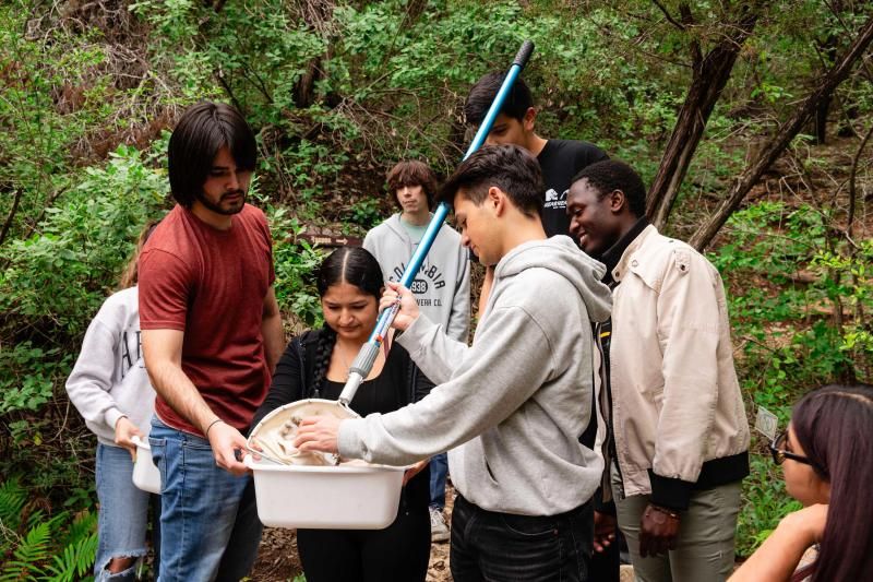 Students participate in a biology field lab at the Wild Basin Wilderness Preserve.