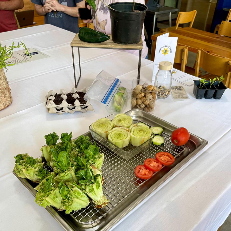 Students learn how to turn scraps into fresh produce during Earth Week.