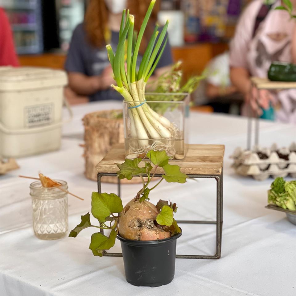 Students learn how to turn scraps into fresh produce during Earth Week.