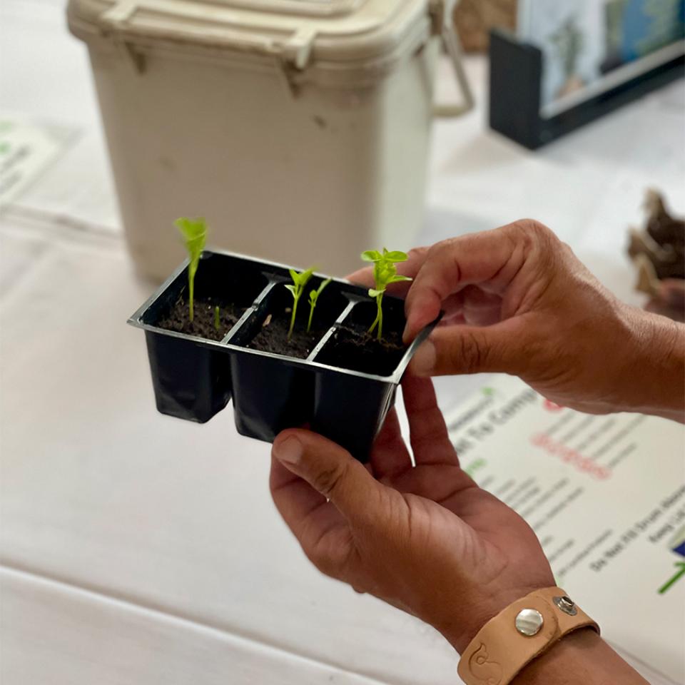 Students learn how to turn scraps into fresh produce during Earth Week.
