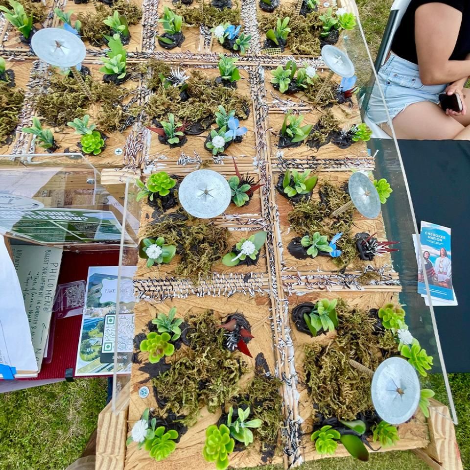 Miniature green roofs on display at Earth Day Fair 2025.