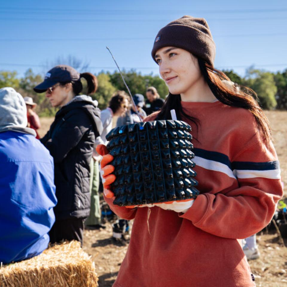 Hilltoppers planting trees and shrubs at the first-ever Tiny Forest in Austin, which is located at St. Edward's.