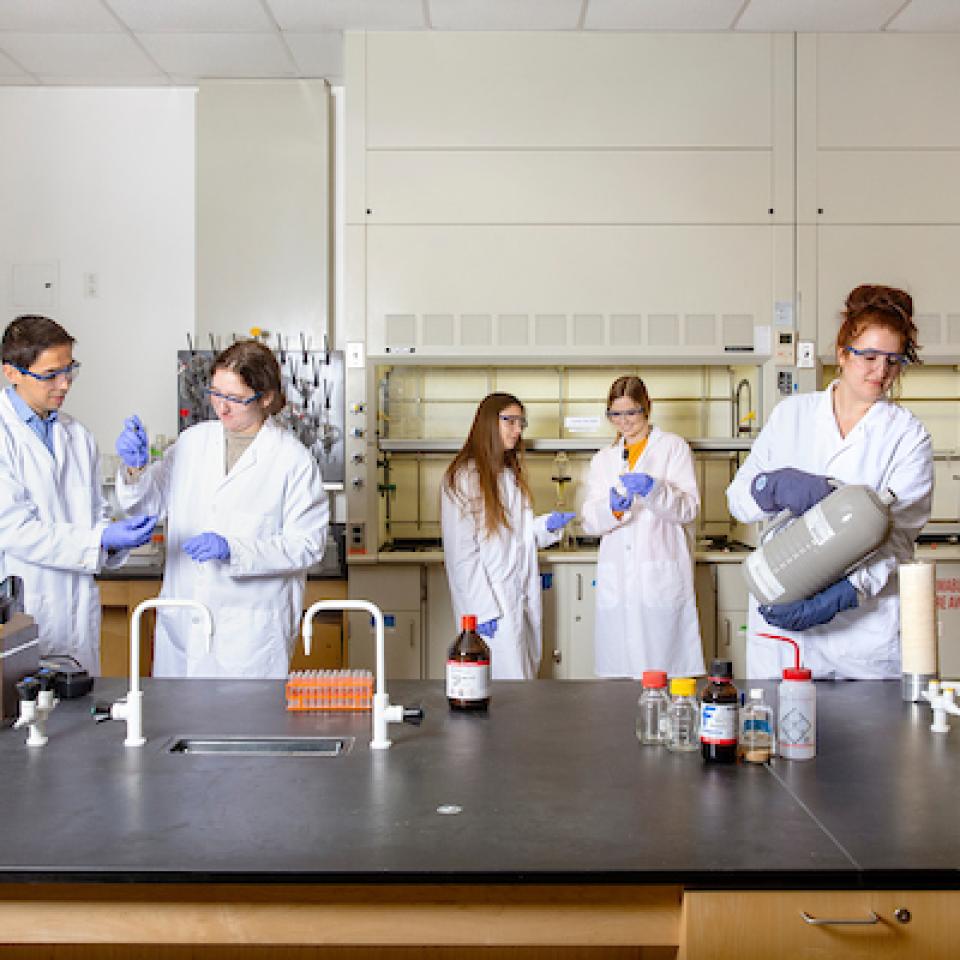 Students in lab