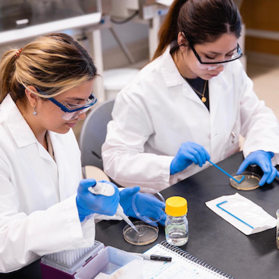 two females doing chemistry research