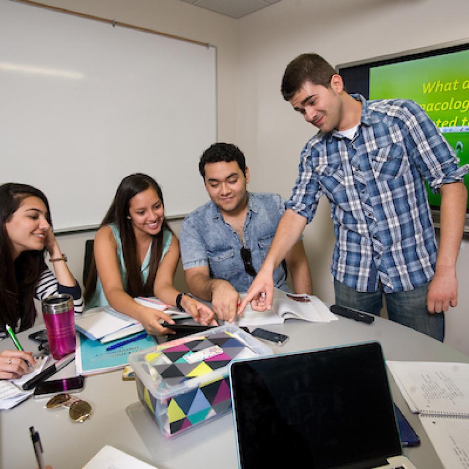 Students Learning