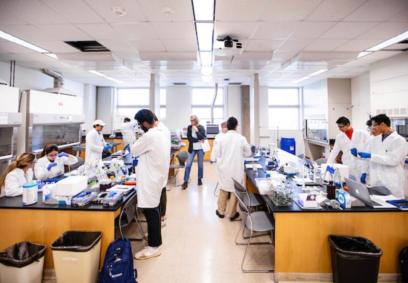 Lab Work