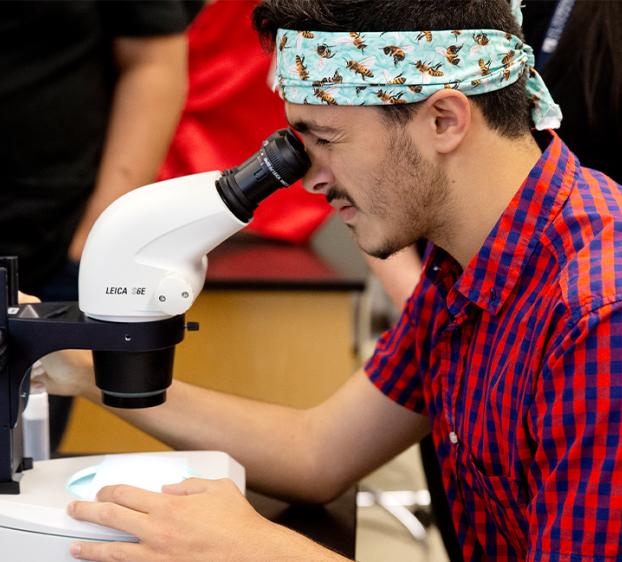 Student looking through a microscope