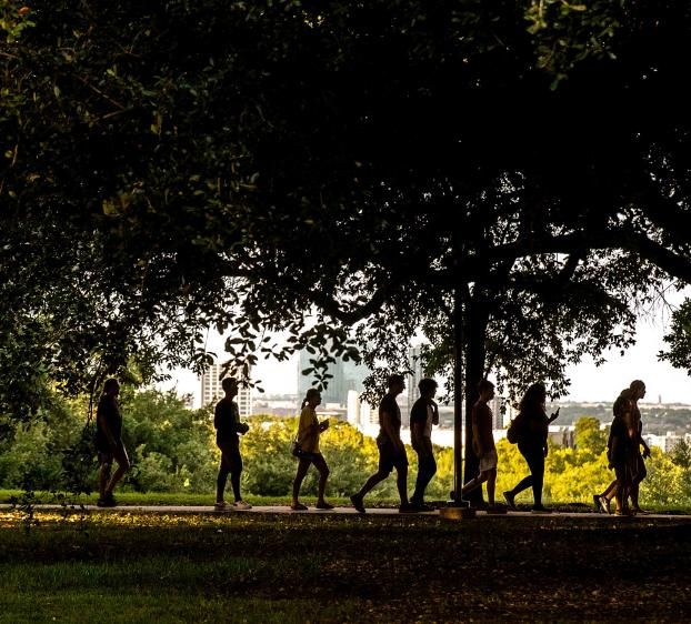 Students walk under the trees on campus.