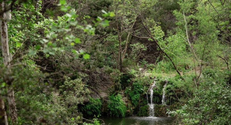 The waterfall at Wild Basin