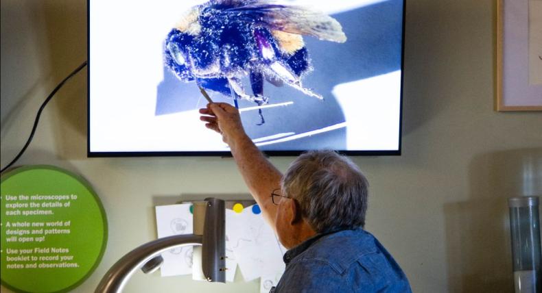 A man pointing to a screen which displays a zoomed-in image of a bumblebee