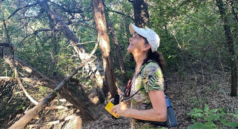A woman in a hat looks up at the treetops