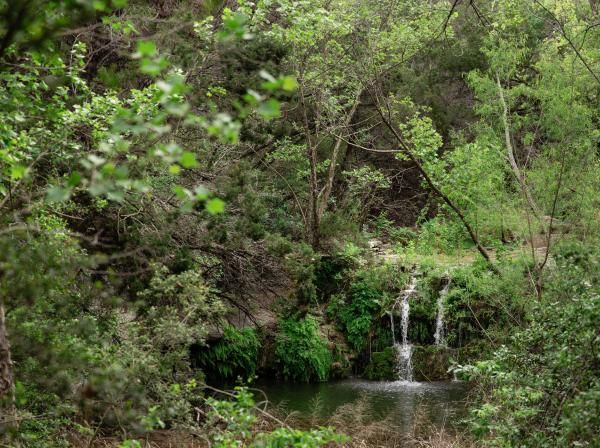 The waterfall at Wild Basin