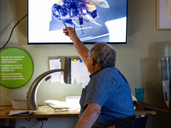 A man pointing to a screen which displays a zoomed-in image of a bumblebee