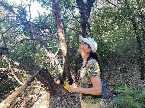 A woman in a hat looks up at the treetops