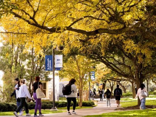 Fall colors on campus