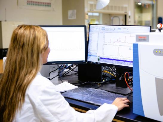 GCMS research student works on computers in lab