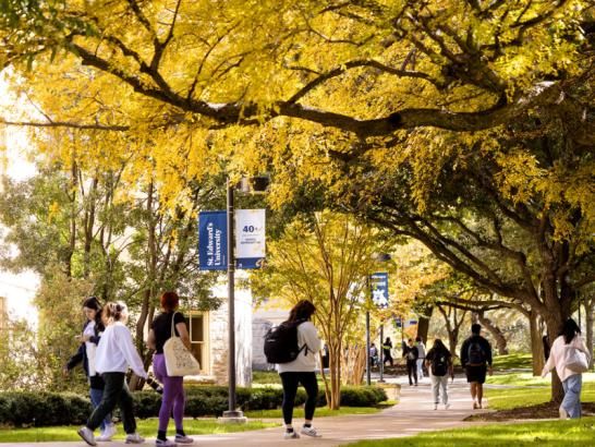 Students walk on a tree-lined path, with some foliage turned from green to yellow. Lightpoles showcase university-branded banners.