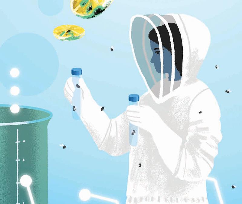 The image shows a person dressed in a beekeeper's suit, holding two test tubes, likely containing bees or bee-related samples. Bees are flying around the individual, and the background features lab equipment and abstract scientific elements. The image conveys a focus on studying bees, possibly in the context of environmental science or agriculture, with a calm blue and white color palette.