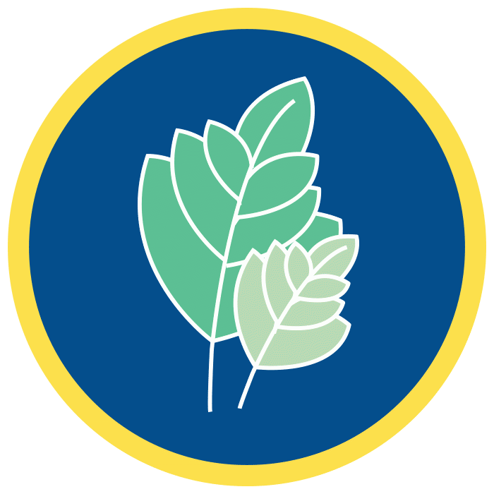 Brothers of Holy Cross Garden GIF.