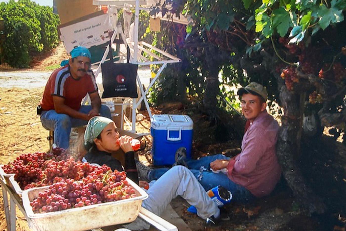 anabel rodriguez working in the field