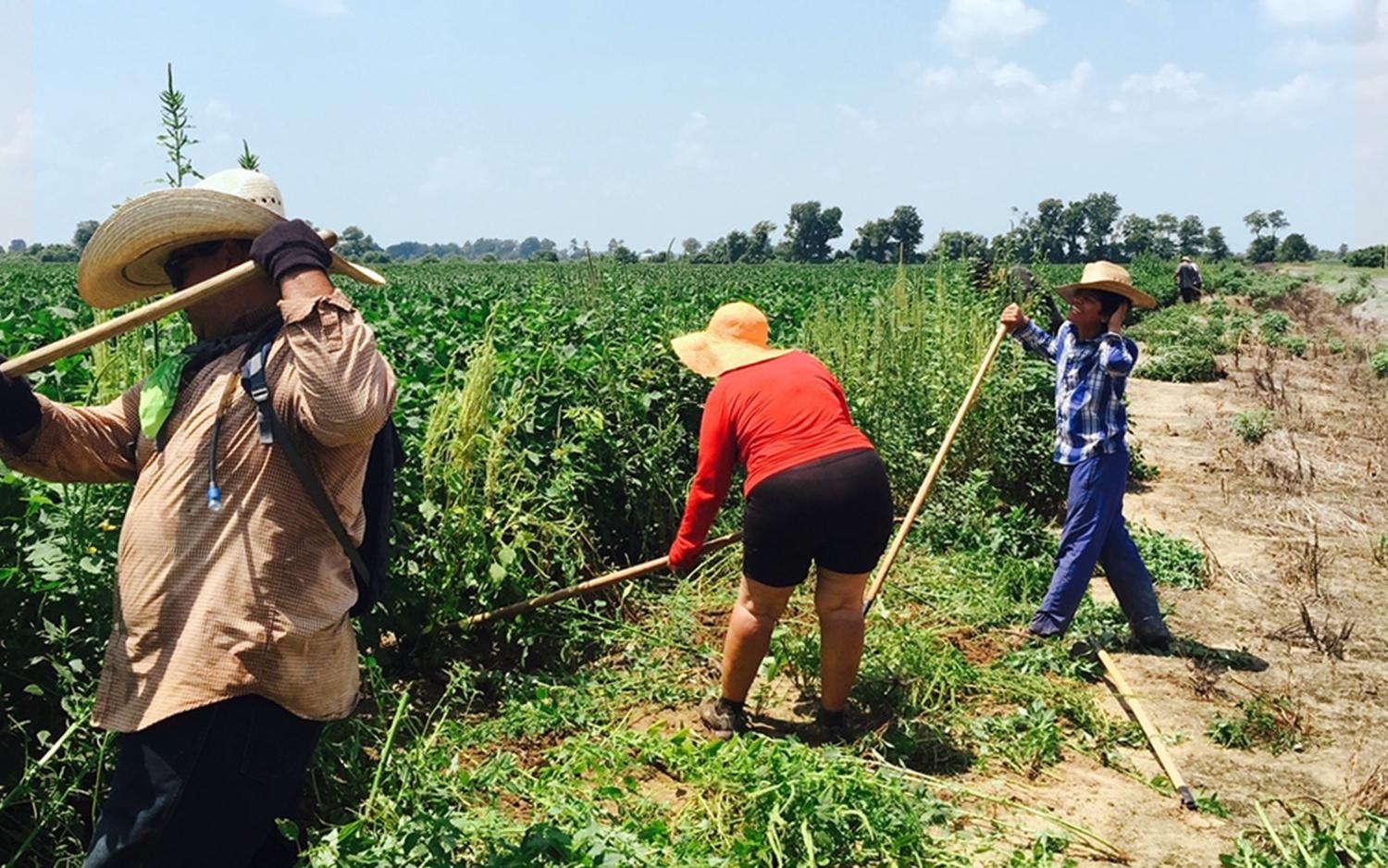 Vince Martinez and family in the field
