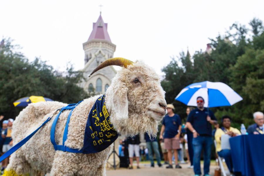 Topper poses for a photo in front of Main Building during Homecoming 2024.