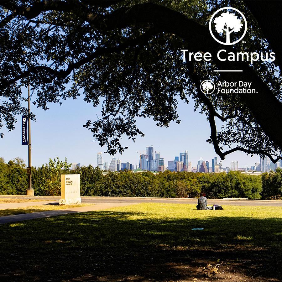 View of Austin skyline from Main Building.