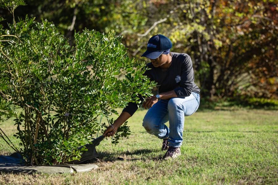 Janiece Jefferson gathers data from campus trees for her internship