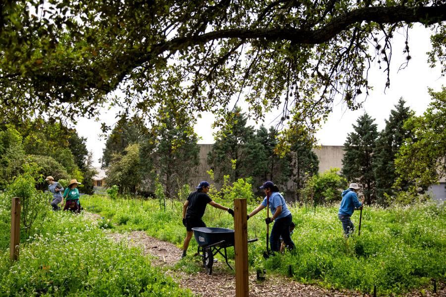 Students for Sustainability volunteer on campus