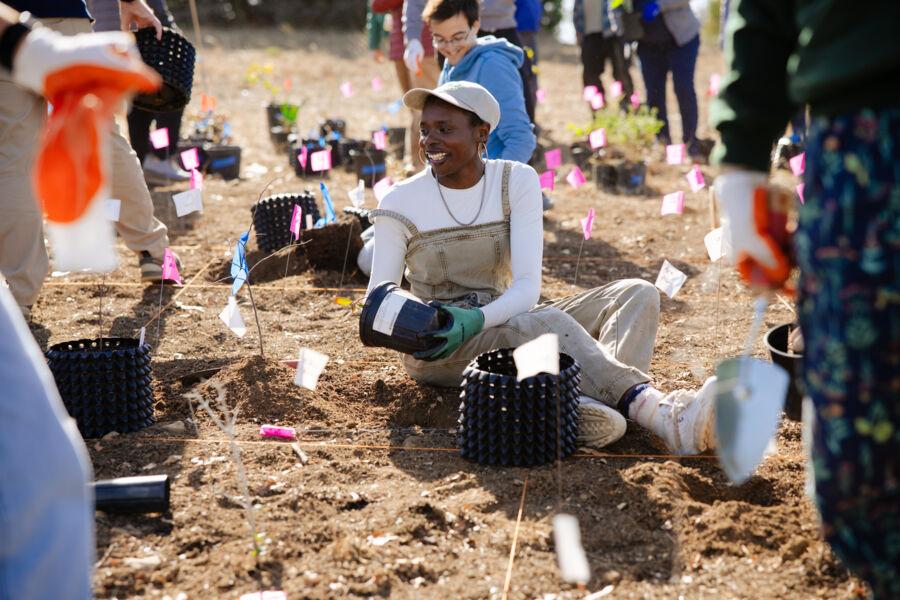 Students planting seeds at the Tiny Forest.