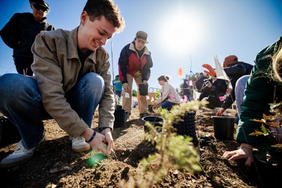 Students planting seeds at the Tiny Forest.