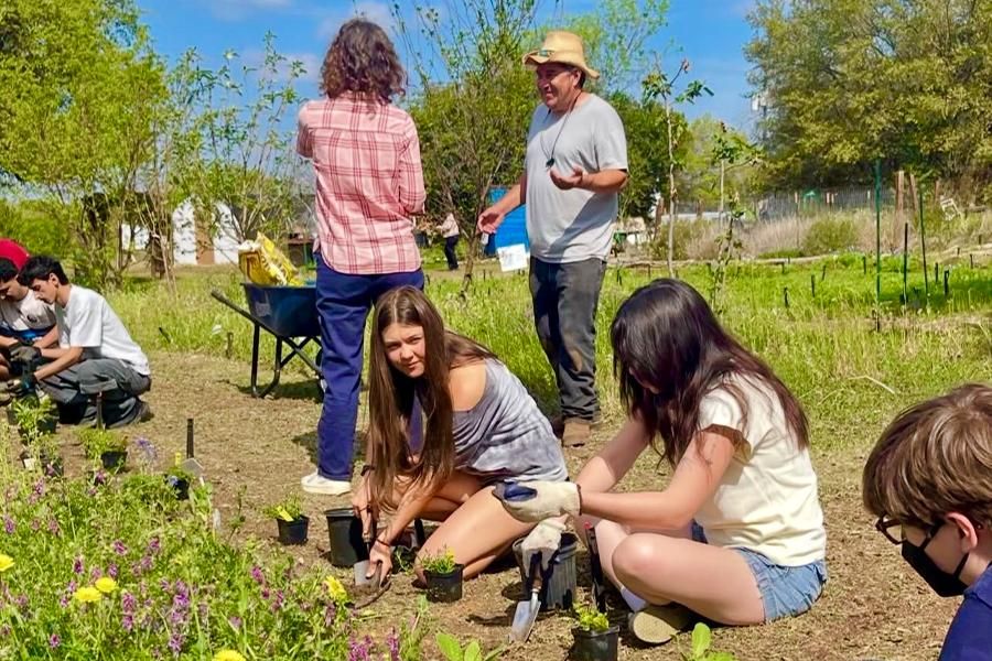 Students planting seeds at the new International Food Garden.