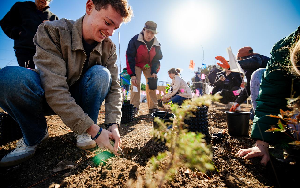 Students plant seeds at the Tiny Forest planting event on campus.